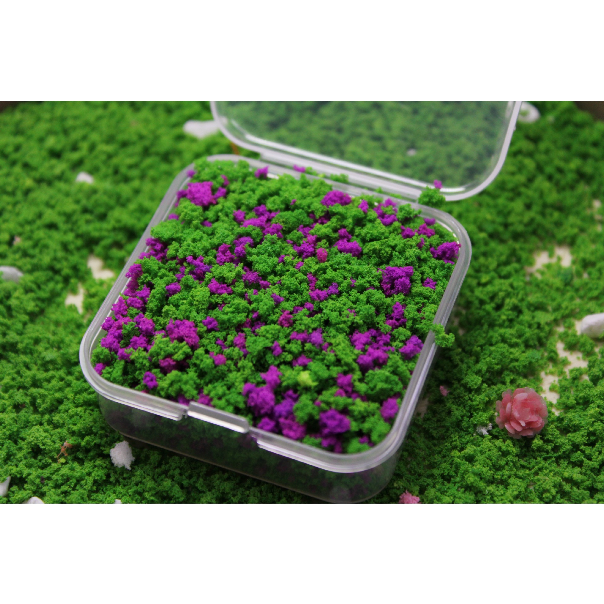 colorful Purple-green