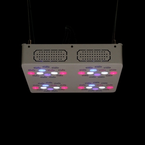 Đèn <span class=keywords><strong>LED</strong></span> trồng cây <span class=keywords><strong>Apollo</strong></span> công suất cao, nhà máy sản xuất đèn <span class=keywords><strong>LED</strong></span> trồng cây hoa - Product Image 3