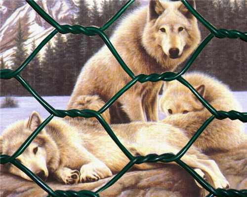 Chain Wire Temporary Fence Chain link Galvanized Netting Roll