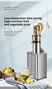 Extracteur <span class=keywords><strong>de</strong></span> jus commercial à froid à large goulot sans découpe pour légumes à fibres dures, ananas, gingembre - Product Image 4