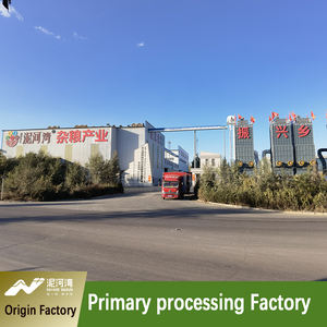 Nihewan Vente en gros <span class=keywords><strong>de</strong></span> noyaux <span class=keywords><strong>de</strong></span> graines <span class=keywords><strong>de</strong></span> <span class=keywords><strong>citrouille</strong></span> séchés A/AA Shine Skin Pumpkin Kernel - Product Image 6