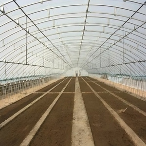 <span class=keywords><strong>Serre</strong></span> en <span class=keywords><strong>plastique</strong></span> à une seule travée avec structure en acier galvanisé et film PE pour les semis de légumes et de fleurs - Product Image 6