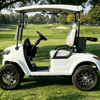 Voitures de golf de bonne qualité, deux places, 48 volts, électriques au lithium, avec pare-brise pliable et porte-sac pour le terrain de golf