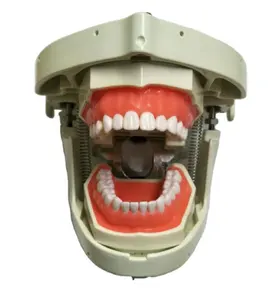 Nissin Frasaco牙科模拟器牙科教学简单模型牙科幻影头教学