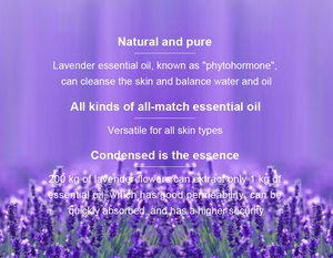 Private Label OEM ODM Natural Organic Lavender Camellia Seed Vitamin E Facial Essential Oil (new) Oils Set Bulk - Product Image 6