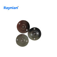 Plaque à aiguille en acier inoxydable pour machine à coudre informatique Raynian 3020/2516/2010 Accessoires pour voiture informatique