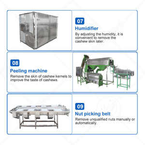 Chaîne de production complète et automatique de machines de transformation des noix ORME Chine – Usine de traitement des noix de cajou brutes - Product Image 5