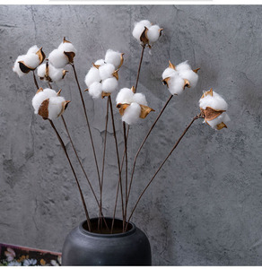 High Quality Indoor DIY Natural Dried <strong>Cotton</strong> <strong>Stems</strong> Single Branch Artificial <strong>Cotton</strong> Flower for Christmas Floral Decor Wholesale - Product Image 6