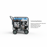 SELOSEN Dieselbetriebener Schweißgenerator 300A 5KW 6KW 230V 50Hz Tragbarer Geräuscharmer Diesel-Punktschweißer