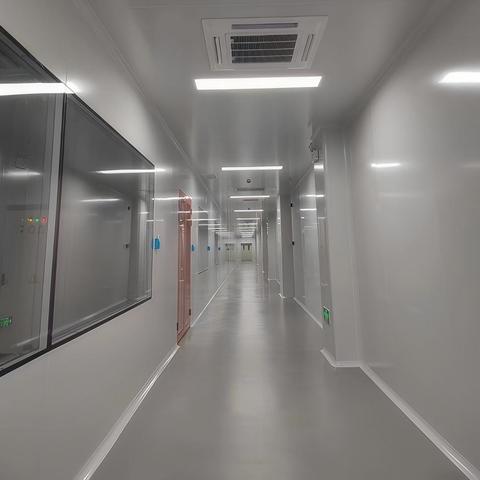 Panels Workshop Fireproof Hospital Ceiling Design Iso 8 Customized Sandwich Modular Construction Rock Wall Clean Room