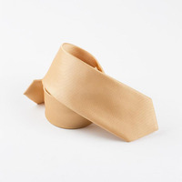 Cravates en polyester micro 100% pour hommes de couleur unie