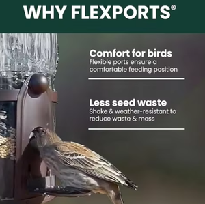 Tempat Makan Burung Luar Ruangan Anti Tupai, Dapat Disesuaikan Secara Grosir, Tempat Makan Burung Liar, Tempat Bertengger di Taman, Untuk Burung Kardinal, Finch, Blue Jay - Product Image 4