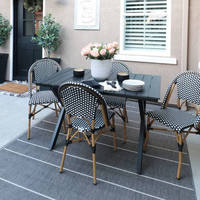 Chaise de salle à manger extérieure en rotin pour loisirs rétro en plein air avec balcon de jardin à la française