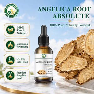 Absolue de racine d'angélique de qualité supérieure (Angelica Archangelica) certifiée naturelle, arôme épicé, conformité mondiale pour la parfumerie - Product Image 1