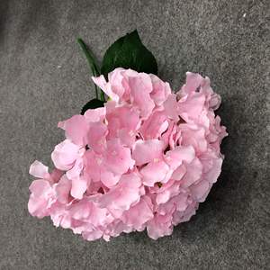 DREA <span class=keywords><strong>Yiwu</strong></span> ดอกไฮเดรนเยียเทียม5กิ่ง,ดอกสำหรับตกแต่งผนังขายส่งจากโรงงาน - Product Image 5