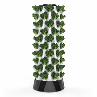 Système de culture hydroponique Pineapple Tower à 10 niveaux, jardinière verticale sans terre pour légumes, herbes et feuilles vertes