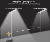 Lampadaire solaire tout-en-un en aluminium étanche IP65 avec contrôleur MPPT 100W, angle de faisceau 140°, LED certifiée RoHS CE, télécommande