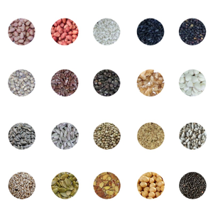Extracteur d'huile automatique pour noix, graines et arachides, pour usage commercial (ricin, sésame) - Product Image 4