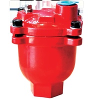 Vanne de purge d'air automatique en fonte ductile PN16 DN15 DN20 DN25 pour système de conduite d'eau