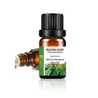 Huile essentielle de qualité supérieure Extrait de feuille de Buchu naturel Huile de Buchu
