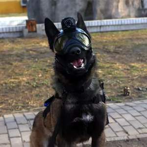 Caméras de casque de sécurité 4G WIFI IR Live Streaming GPS <span class=keywords><strong>Tracker</strong></span> pour garde de sécurité - Product Image 5