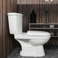 Ensemble WC moderne économique à double chasse avec cuvette de toilettes à siphon, lavabo en céramique à siphon en S, ensemble deux pièces
