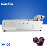 Máquina de Limpieza de Frutas y Verduras con Ozono, Industrial, de Acero Inoxidable, para Lavar Frutas y Verduras de Hoja