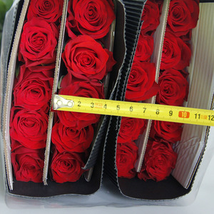 Forniture per San Valentino Rose Rosse Fresche Cherish Red Fiori Freschi dalla Cina Decorazione di Nozze per la Casa - Product Image 4