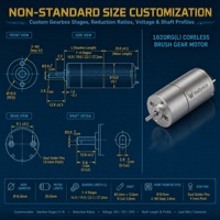 Moteur à engrenages planétaires CC sans noyau Waillynice 1620RG 16 mm 12 V 18 V 0,35-0,5 Nm pour micro-pompe, bras robotique, pince