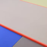 Tatami JF Standard para MMA y Judo, 200x100x4cm, 5cm, Tatami para Jiu-Jitsu Brasileño, Tapete de Espuma para Artes Marciales, Karate y Lucha