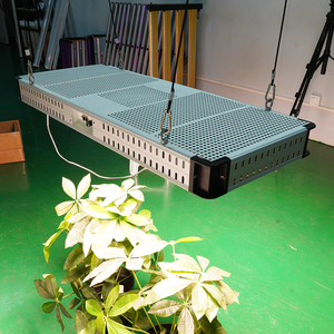 Lámpara de Cultivo LED de Espectro Completo 300W 3600W 3.0umol/J, Reemplazo de Lámpara <span class=keywords><strong>HPS</strong></span> 600W para Plantación - Product Image 3
