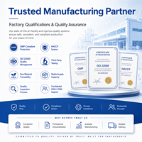 Approvisionnement direct usine, vente en gros, marque privée OEM, supplément en capsules de Berbérine HCL pour soutenir la fonction cellulaire et la fonction métabolique