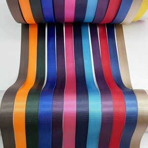 Cinta de Espiga Estrecha de 3.8 cm de Alta Calidad al por Mayor, Cintas de Nylon de 2.5 cm para Equipaje - Product Image 6