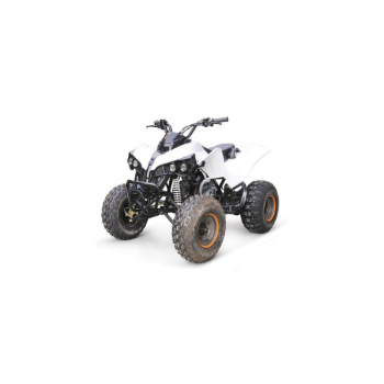 Автоматический квадроцикл 250 куб. См 4x4 4x2 Quad резервный велосипед