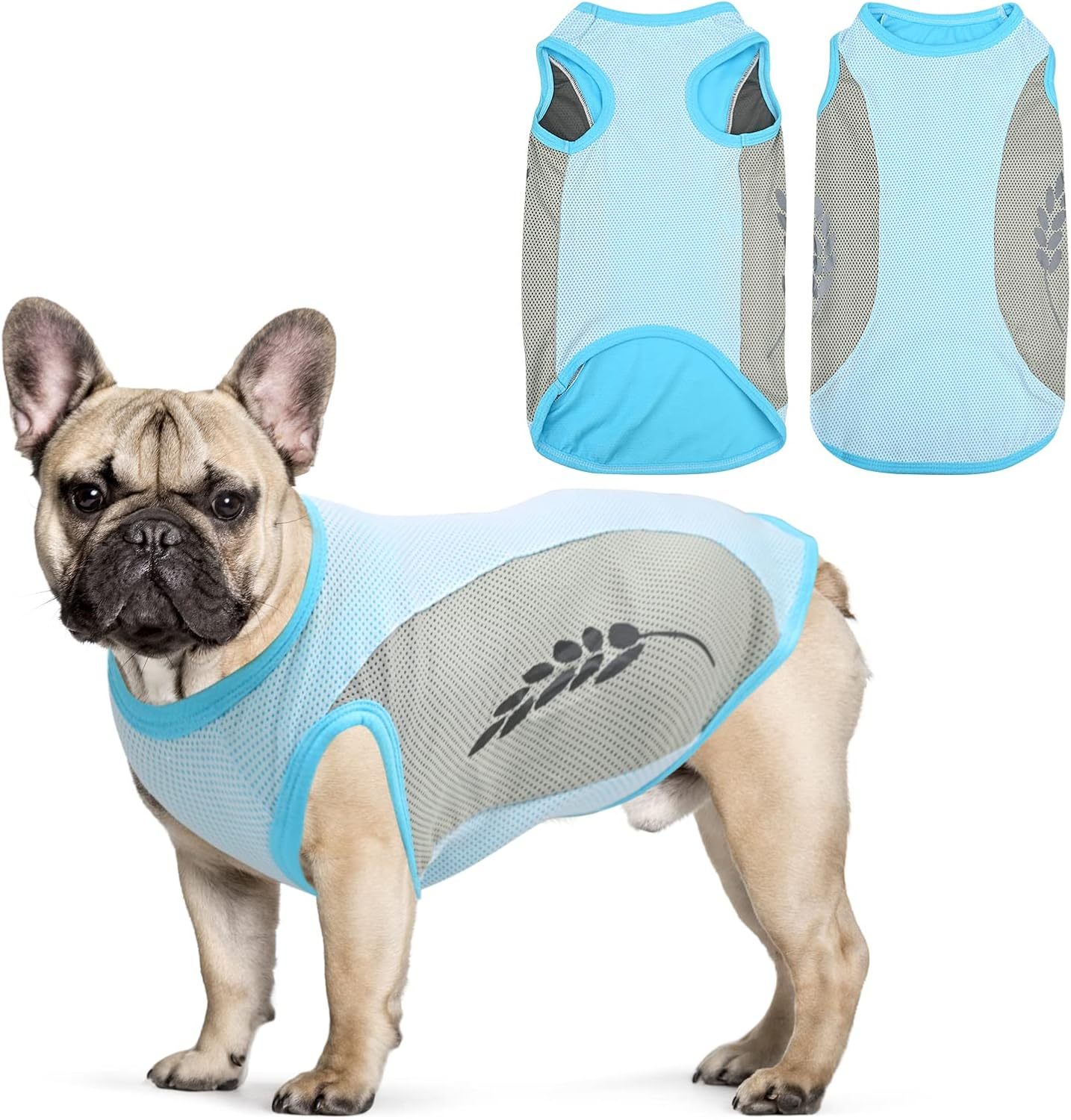 Bleu