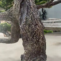 Arbres artificiels décoratifs de type Podocarpus, grands modèles d'intérieur personnalisés SPSS3, pennes de pin artificielles