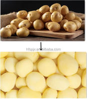Éplucheuse de Manioc et Légumes Automatique Mécanique Robuste, Machine à Laver et Éplucher les Pommes de Terre