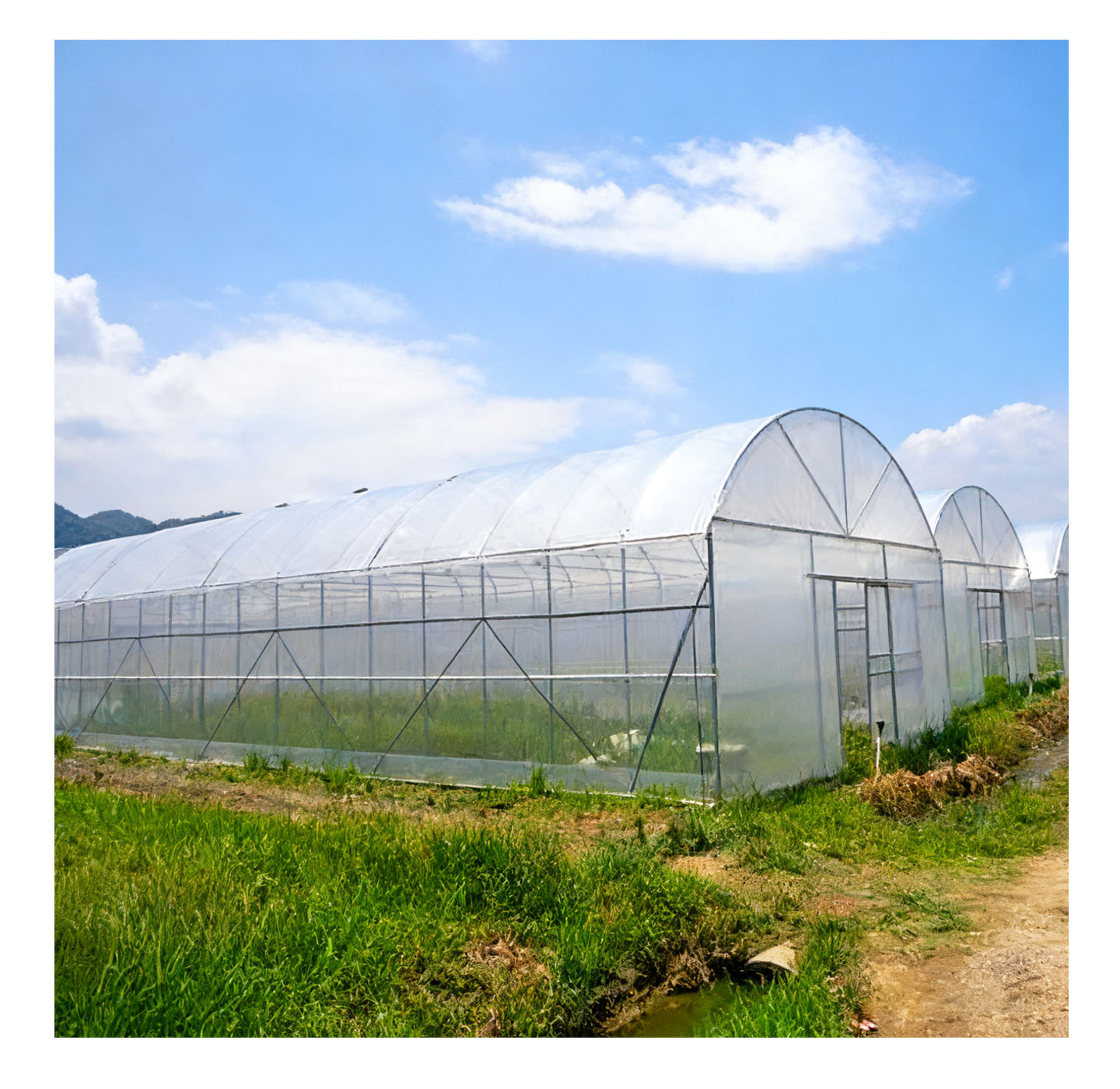 Greenhouse Control System - Smart Climate \u0026 IoT Enabled, image size:1440x1400