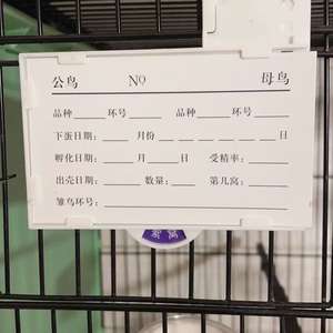 Tarjeta de registro de reproducción 2026 para jaula de pájaros - Product Image 1