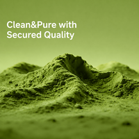Poudre de Matcha Biologique de Qualité Cérémoniale Classique pour Boissons Chaudes ou Froides à Boire Directement Certifiée USDA et UE en Vrac