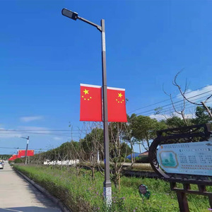 Lampadaire solaire Jinchuan 50W, lampadaire de rue avec drapeau chinois, éclairage extérieur pour municipalités, zones rurales, jardins et paysages - Product Image 1