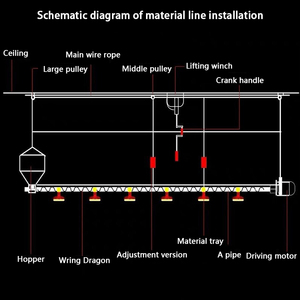 Floor <strong>Raising</strong> <strong>Chicken</strong> Farming <strong>Feeding</strong> System Automatic Poultry Machine Equipment - Product Image 6