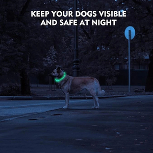 LED Light <b>Dog</b> <b>Collar</b> Waterproof Glow-in-the-Dark Pet <b>Collar</b> Reflective Luxury Nylon TPU Cuttable Puppy <b>Collar</b> Small <b>Large</b> <b>Dogs</b> - Product Image 2