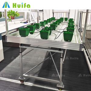 Tables de culture hydroponique Agricola, système de culture verticale à flux et reflux, bancs roulants, bacs à semis pour pépinière - Product Image 5