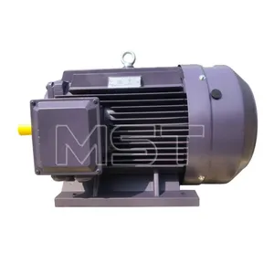 Vendite 400kw 3.3kv motore a induzione AC Ie3 a bassa tensione motore elettrico asincrono motore industriale con Standard IEC