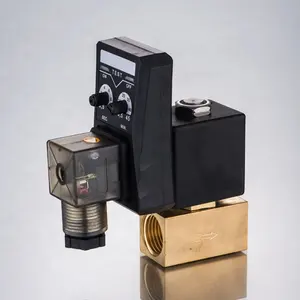 SLGPC CS-720 Timer Control Ablass ventil - Product Image 1