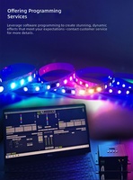 Bande LED RVBW adressable DMX512 5050 quatre-en-un avec IC externe, fonction de reprise après coupure, flexible, 12V 24V basse tension pour bar