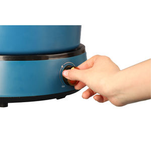 Cuisinière électrique multifonctionnelle 4L, poêle électrique antiadhésive à température réglable, marmite électrique, nouvelle tendance 2026 - Product Image 2