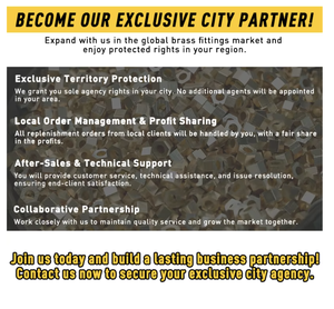 Raccordo in Ottone NPT da 1 Pollice, Accoppiamento Rapido Pneumatico Personalizzabile per Installazione di Gas Naturale - Product Image 5