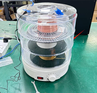 Déshydrateur alimentaire électrique professionnel 3 plateaux pour usage domestique, déshydrateur multi-niveaux pour fruits/légumes, économe en énergie